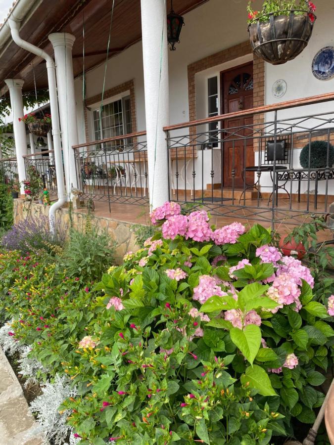 Country Club La Mesteceni Sebeş Exteriör bild